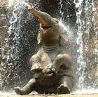 Elefant